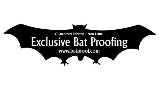 BatLogo-JPG