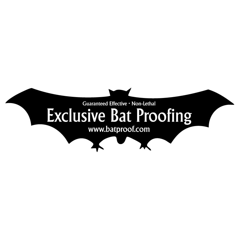 BatLogo-JPG